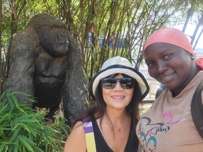 Gorilla Monument 1