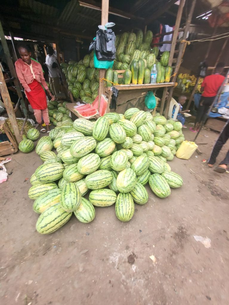 Water melon